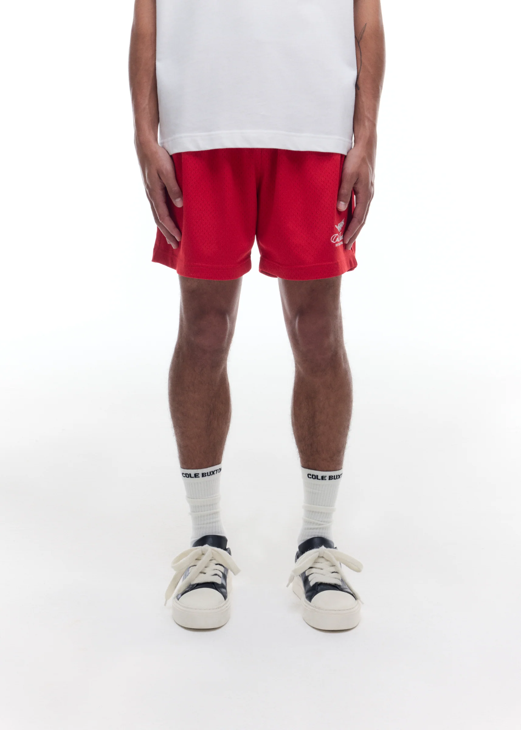 INTERNATIONAL MESH SHORTS - Image 2