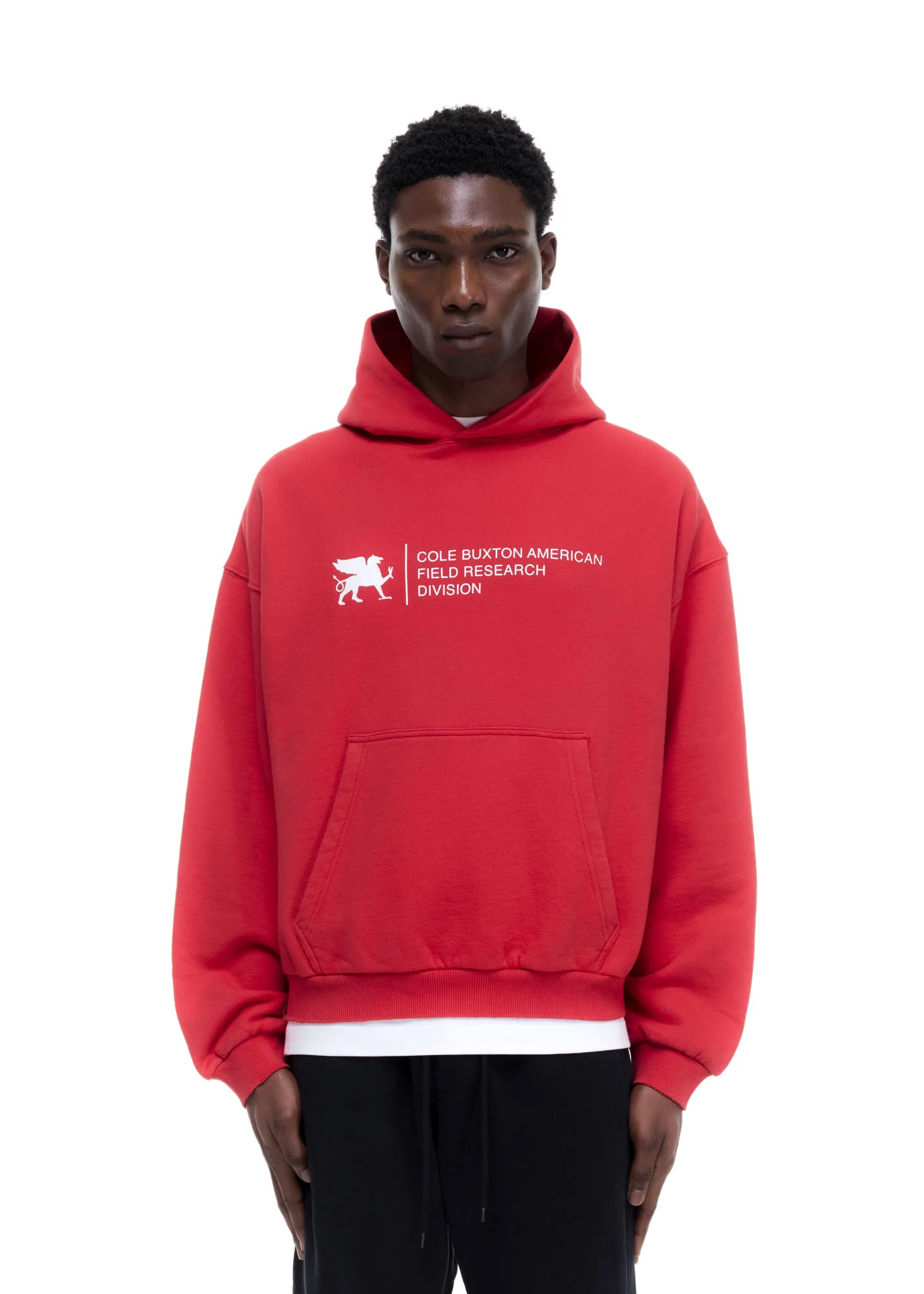 RESEARCH DIVISION HOODIE - Image 4